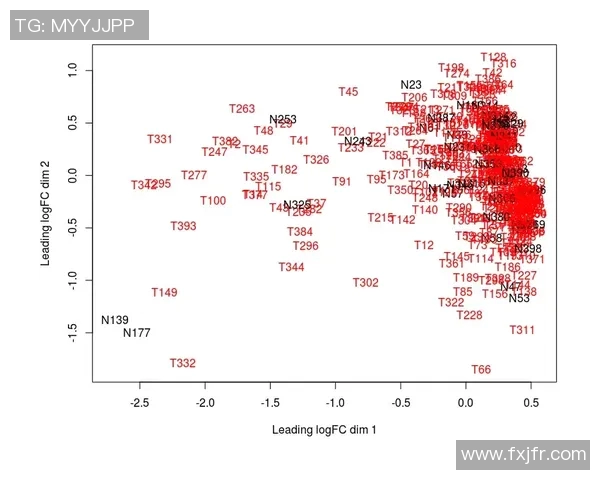 足球的量词探秘:从一场比赛到一队球员的多样表达方式 足球的量词探秘:从一场比赛到一队球员的多样表达方式