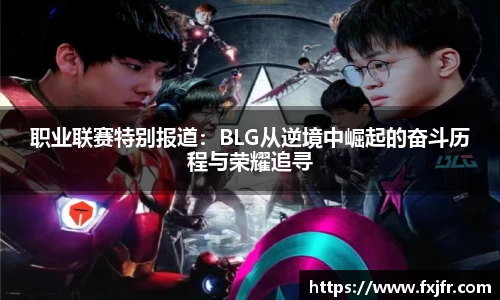 职业联赛特别报道：BLG从逆境中崛起的奋斗历程与荣耀追寻